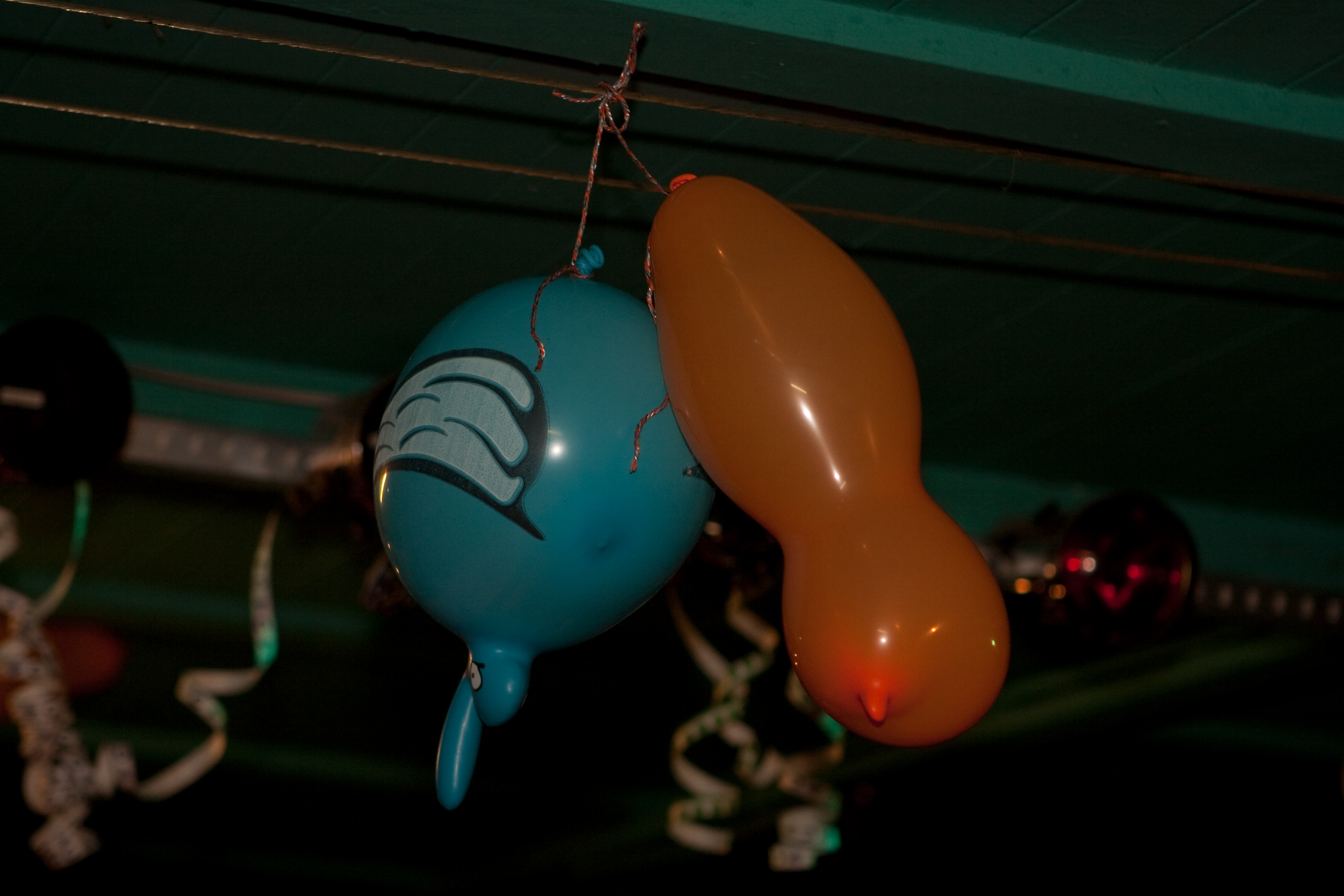 Mariette verjaardags feest 2009-034.jpg